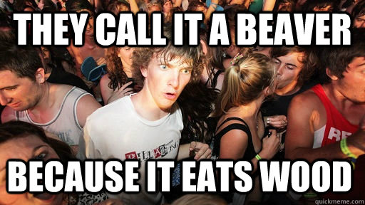 They call it a beaver Because it eats wood  Sudden Clarity Clarence