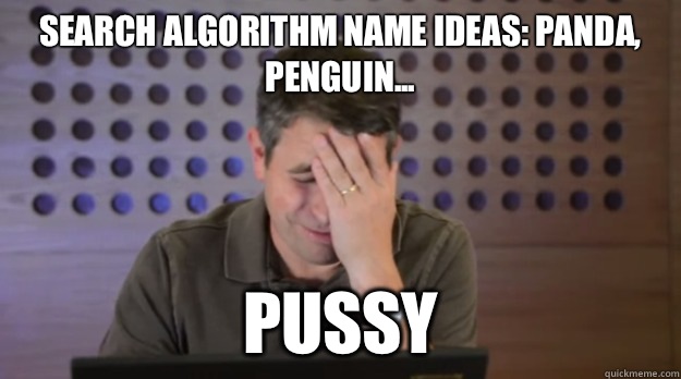 Search algorithm name ideas: Panda, Penguin... Pussy  Facepalm Matt Cutts
