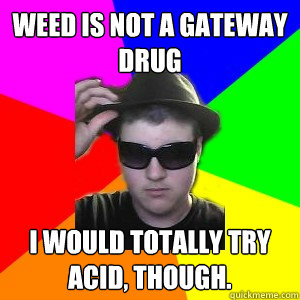 Weed is not a gateway drug I would totally try acid, though.  