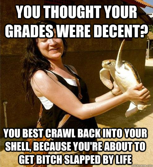 you thought your grades were decent? you best crawl back into your shell, because you're about to get bitch slapped by life  Turtle Slap
