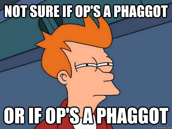 Not sure if Op's a phaggot or if op's a phaggot  Futurama Fry