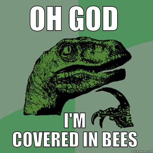 No you're not. - OH GOD I'M COVERED IN BEES Philosoraptor