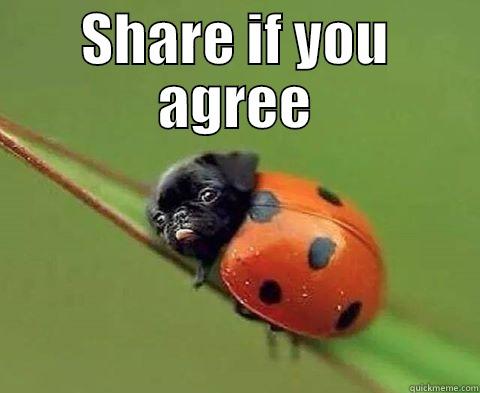 SHARE IF YOU AGREE  Misc