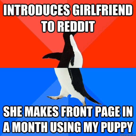 introduces girlfriend to reddit she makes front page in a month using my puppy  Socially Awesome Awkward Penguin