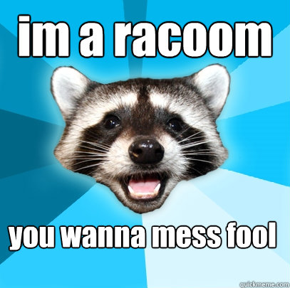 im a racoom you wanna mess fool  Lame Pun Coon