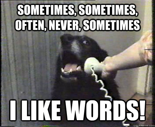 sometimes, sometimes, often, never, sometimes i like words! - sometimes, sometimes, often, never, sometimes i like words!  This is dog