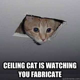  Ceiling cat is watching you fabricate  