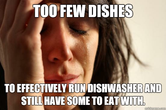Too few dishes To effectively run dishwasher and still have some to eat with.  First World Problems
