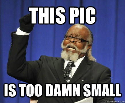 This pic  is TOO DAMN SMALL  Too Damn High