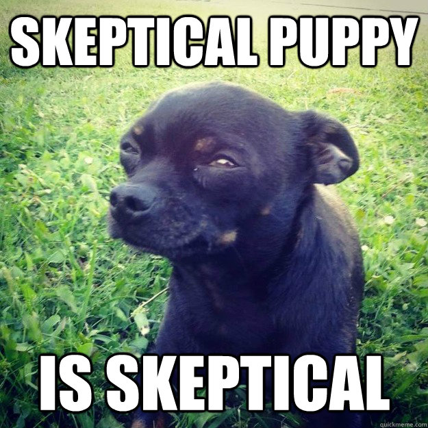 Skeptical puppy is skeptical - Skeptical puppy is skeptical  Skeptical Dog