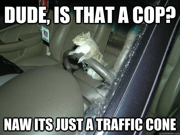 dude, is that a cop? Naw its just a traffic cone - dude, is that a cop? Naw its just a traffic cone  Misc