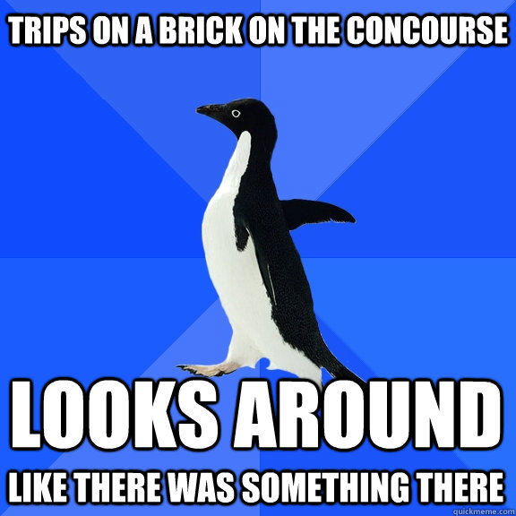 trips on a brick on the concourse looks around like there was something there   Socially Awkward Penguin