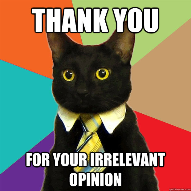 THANK YOU FOR YOUR IRRELEVANT OPINION - THANK YOU FOR YOUR IRRELEVANT OPINION  Business Cat
