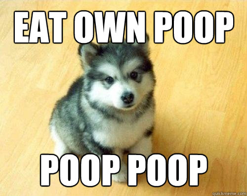 Eat own poop poop poop  Baby Courage Wolf