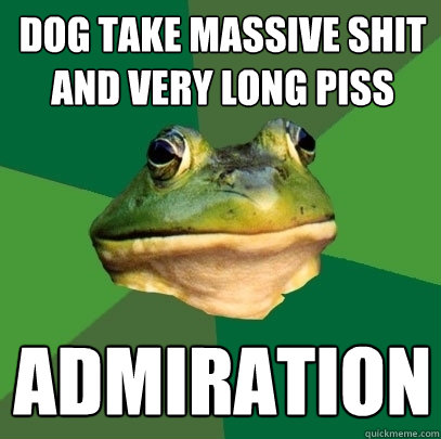 dog take massive shit and very long piss admiration  Foul Bachelor Frog