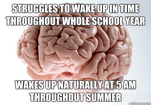 struggles to wake up in time throughout whole school year Wakes up naturally at 5 am throughout summer - struggles to wake up in time throughout whole school year Wakes up naturally at 5 am throughout summer  Scumbag Brain