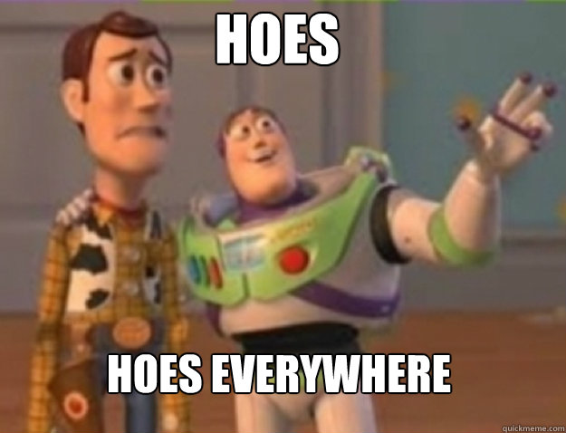 Hoes Hoes everywhere - Hoes Hoes everywhere  Misc