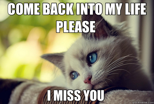 COME BACK INTO MY LIFE PLEASE  I MISS YOU   First World Problems Cat