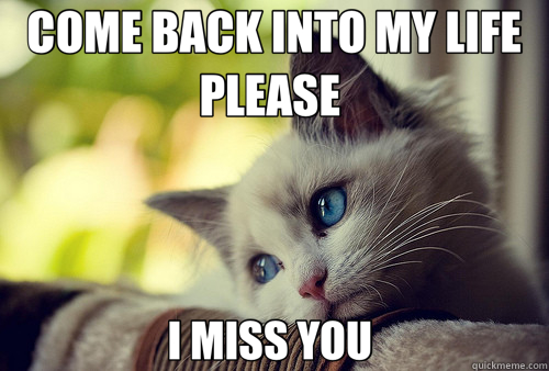 COME BACK INTO MY LIFE PLEASE  I MISS YOU  - COME BACK INTO MY LIFE PLEASE  I MISS YOU   First World Problems Cat