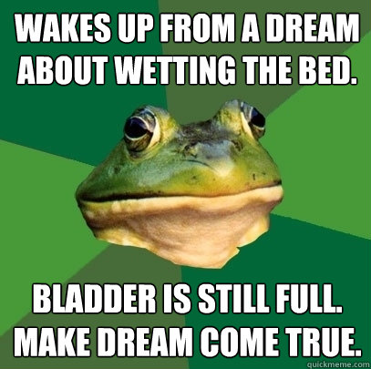 wakes up from a dream about wetting the bed. bladder is still full. 
make dream come true.  Foul Bachelor Frog