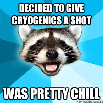 Decided to give cryogenics a shot Was pretty chill   Lame Pun Raccoon