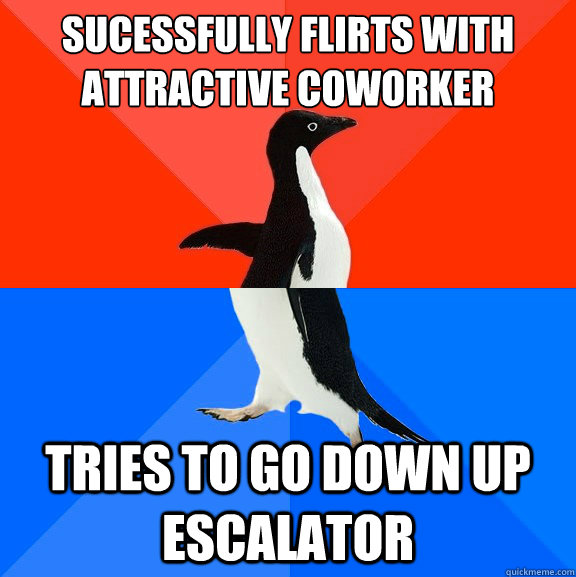 sucessfully Flirts with attractive coworker  Tries to go down up escalator  Socially Awesome Awkward Penguin