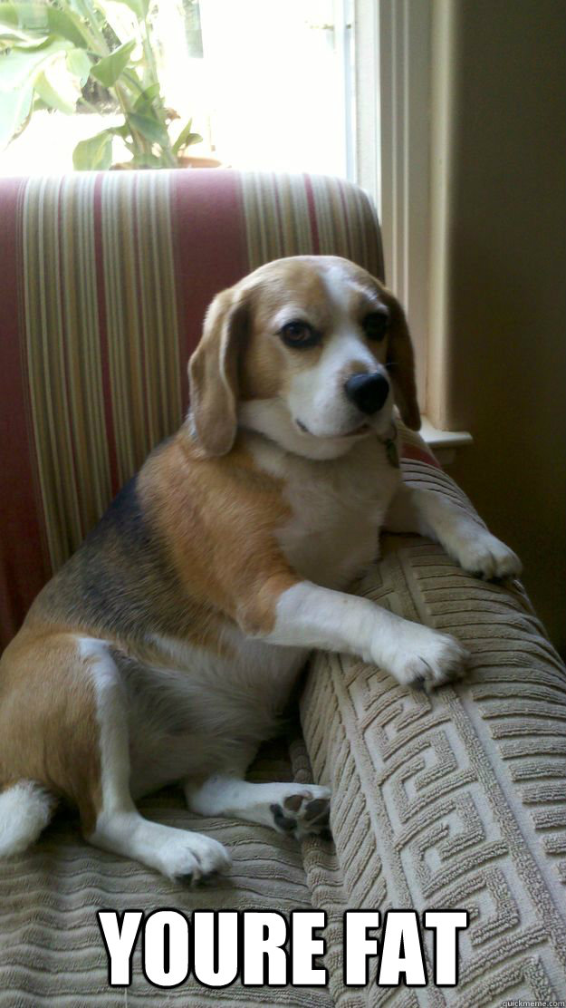  You´re fat  Judgemental Dog