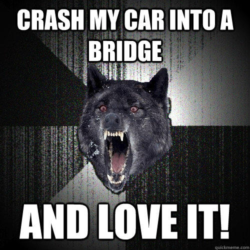 Crash my car into a bridge and love it! - Crash my car into a bridge and love it!  Insanity Wolf