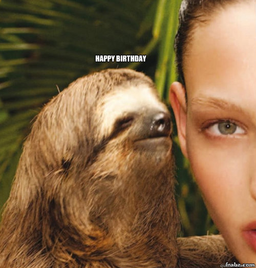 Happy Birthday  rape sloth
