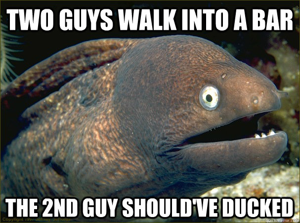 Two guys walk into a bar The 2nd guy should've ducked  Bad Joke Eel