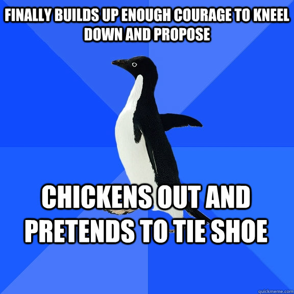 Finally builds up enough courage to kneel down and propose chickens out and pretends to tie shoe  Socially Awkward Penguin