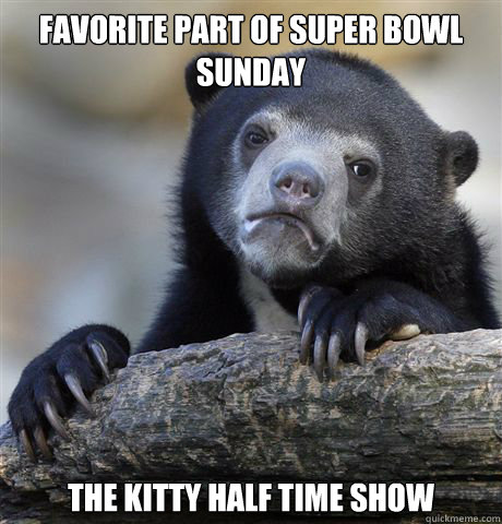 Favorite part of super bowl sunday The kitty half Time Show - Favorite part of super bowl sunday The kitty half Time Show  Confession Bear