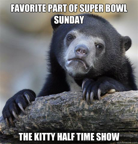 Favorite part of super bowl sunday The kitty half Time Show  Confession Bear