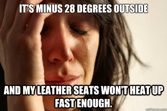 It's minus 28 degrees outside and my leather seats won't heat up fast enough.  First World Problems