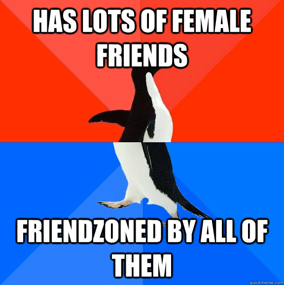 Has lots of female friends friendzoned by all of them  Socially Awesome Awkward Penguin