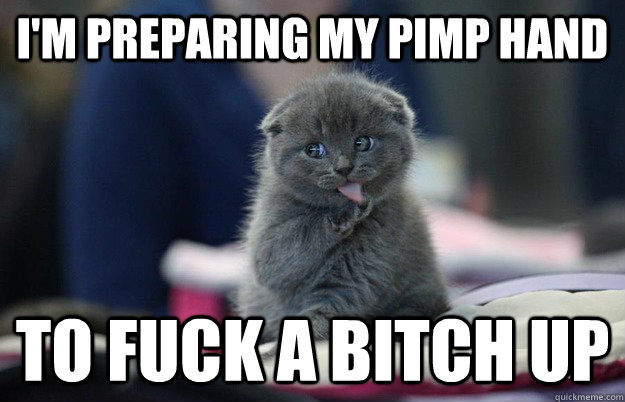 I'm preparing my pimp hand To fuck a bitch up  