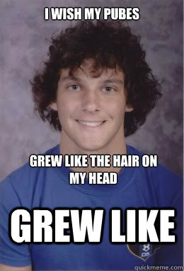 I wish my pubes grew like  grew like the hair on my head  pube head