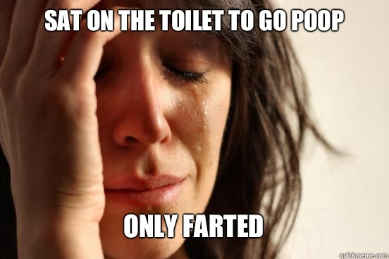 SAT ON THE TOILET TO GO POOP ONLY FARTED   First World Problems