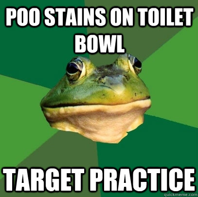 Poo stains on toilet bowl target practice  Foul Bachelor Frog