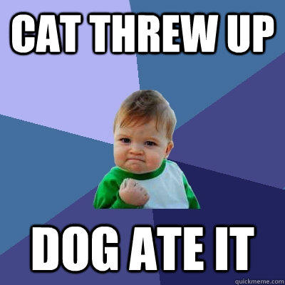 Cat threw up dog ate it  Success Kid