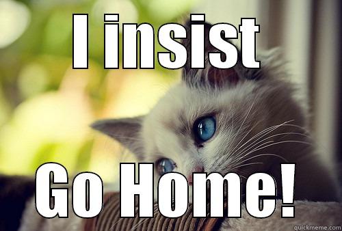 I INSIST GO HOME! First World Problems Cat