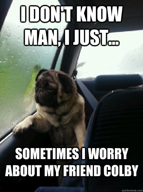 I don't know man, I just... Sometimes I worry about my friend Colby  Introspective Pug