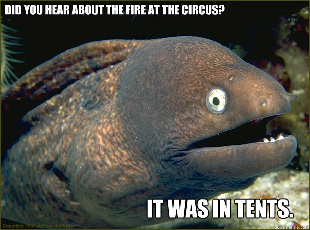 Did you hear about the fire at the circus? It was in tents. - Did you hear about the fire at the circus? It was in tents.  Bannana eel