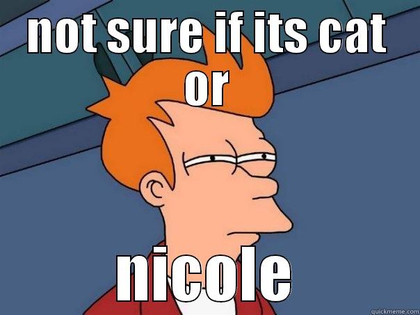 NOT SURE IF ITS CAT OR NICOLE Futurama Fry
