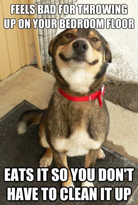 Feels bad for throwing up on your bedroom floor eats it so you don't have to clean it up   Good Guy Dog