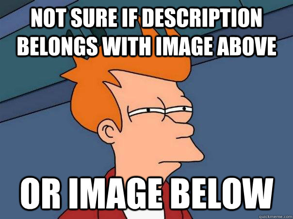 Not sure if description belongs with image above or image below  Futurama Fry