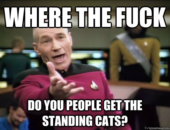 Where the fuck do you people get the standing cats?  Annoyed Picard HD
