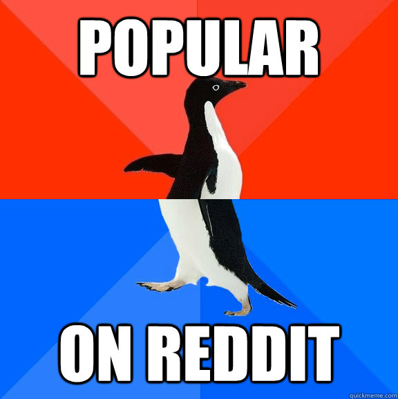 popular on reddit  Socially Awesome Awkward Penguin