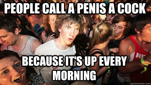 People call a penis a cock because it's up every morning  Sudden Clarity Clarence