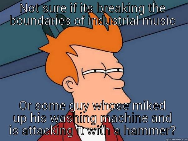 NOT SURE IF ITS BREAKING THE BOUNDARIES OF INDUSTRIAL MUSIC OR SOME GUY WHOSE MIKED UP HIS WASHING MACHINE AND IS ATTACKING IT WITH A HAMMER? Futurama Fry